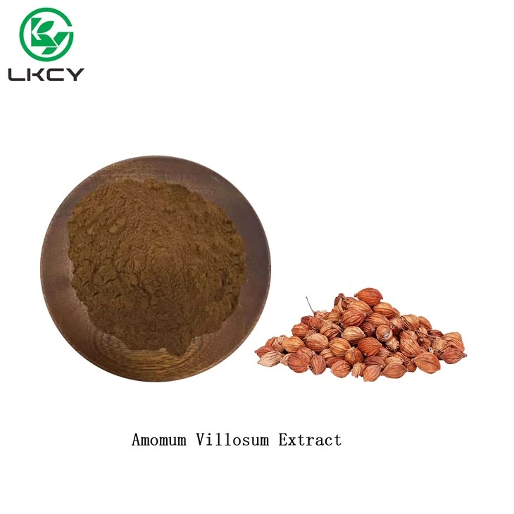 Екстракт от Amomum Villosum
